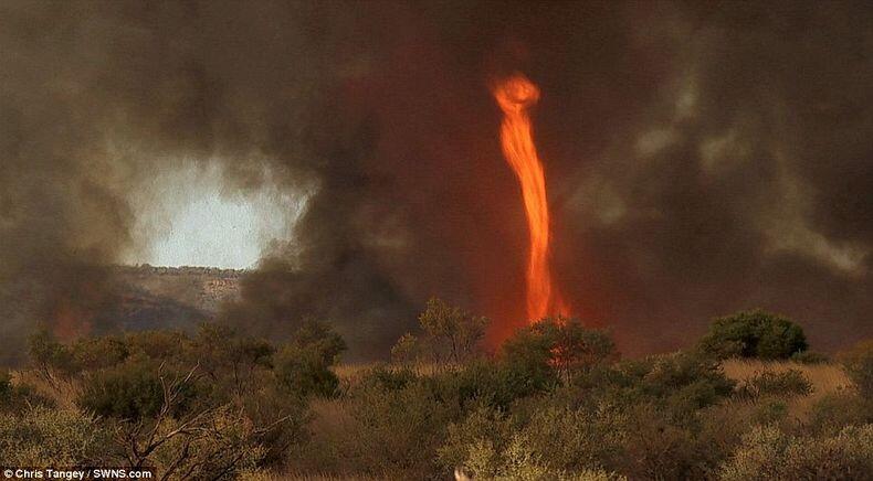 Beauty of Fire Tornadoes