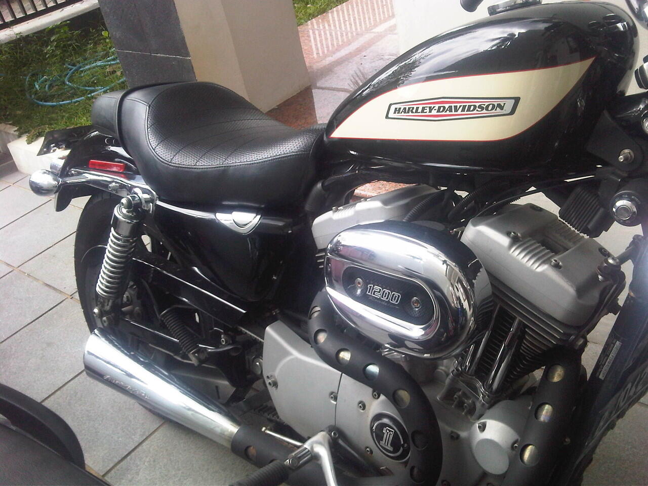 harley davidson sportster Roadster