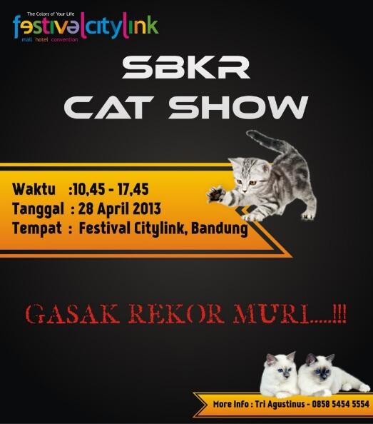 PECINTA KUCING DI BANDUNG WAJIB IKUTAN FUN CAT SHOW (masuk MURI 