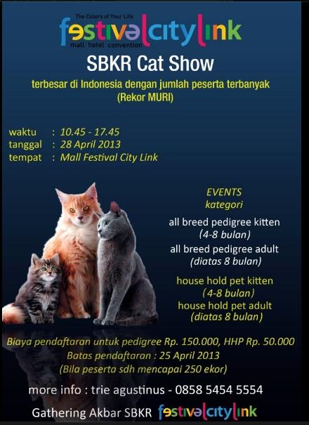 PECINTA KUCING DI BANDUNG WAJIB IKUTAN FUN CAT SHOW (masuk MURI 