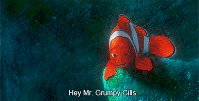 PIXAR akan merilis film FINDING DORY.