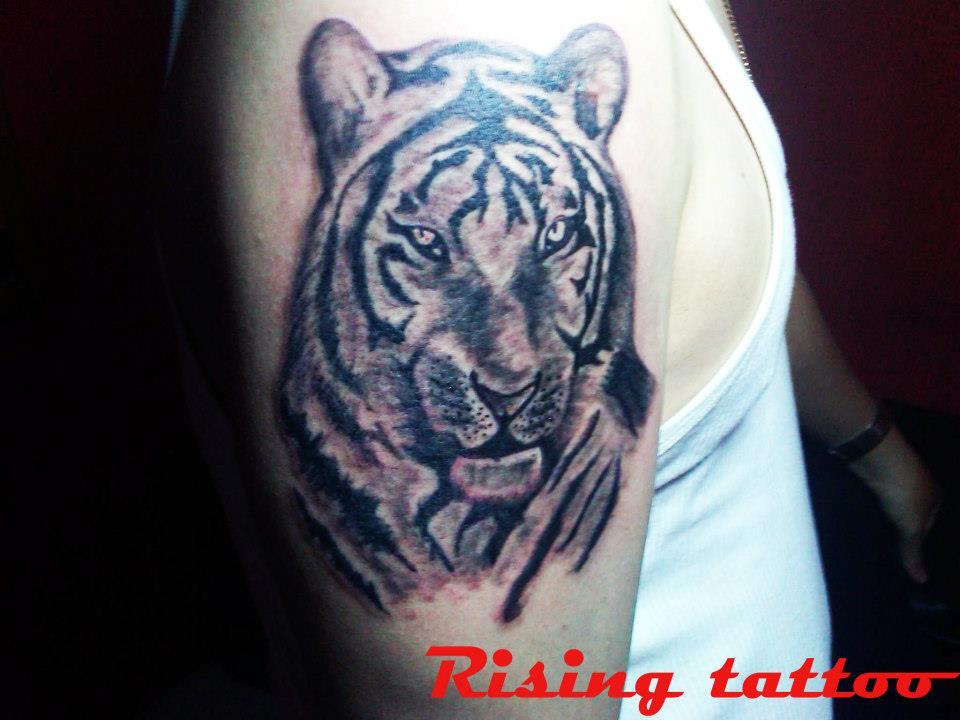 Jasa Tattoo Temporary Bandung | terjual jasa pembuatan tattoo permanent temporary Jasa Tattoo Temporary Bandung | terjual jasa pembuatan tattoo permanent temporary