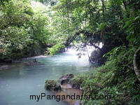 Surga yang tersembunyi di Pangandaran