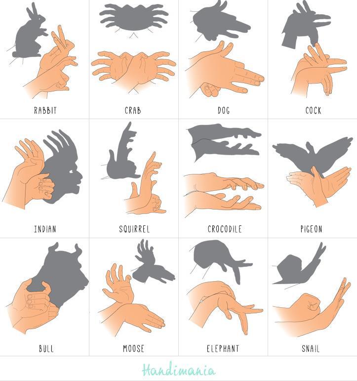 main Shadow Play(membuat bayangan dengan tangan) yuk ane kasih tutornya&#91;PICT&#93;