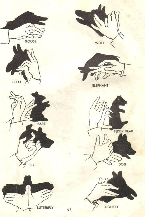 main Shadow Play(membuat bayangan dengan tangan) yuk ane kasih tutornya&#91;PICT&#93;