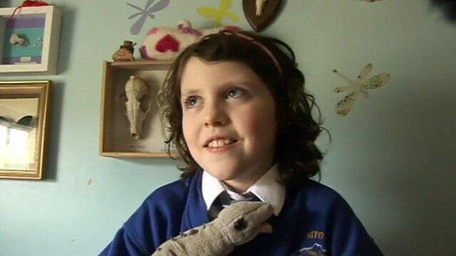 Bocah 9 Tahun Temukan Dinosaurus Jenis Baru