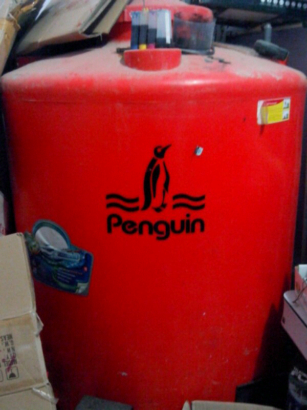 UNIK !! ilmuan menemukan penguin berwarna orange hitam gan!! (ilmuan indonesia)