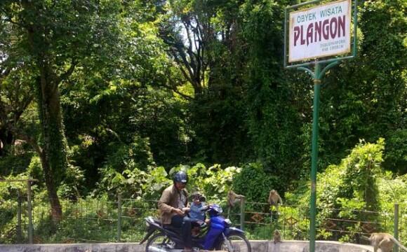 wisata cirebon