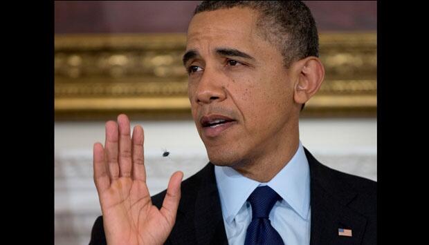 Pendaratan Sukses Seekor Lalat di Dahi Obama