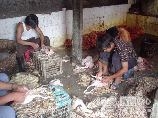 Pelajari Barcode, Anda Akan Tahu Asal Produk Makanan Yang Anda Akan Beli