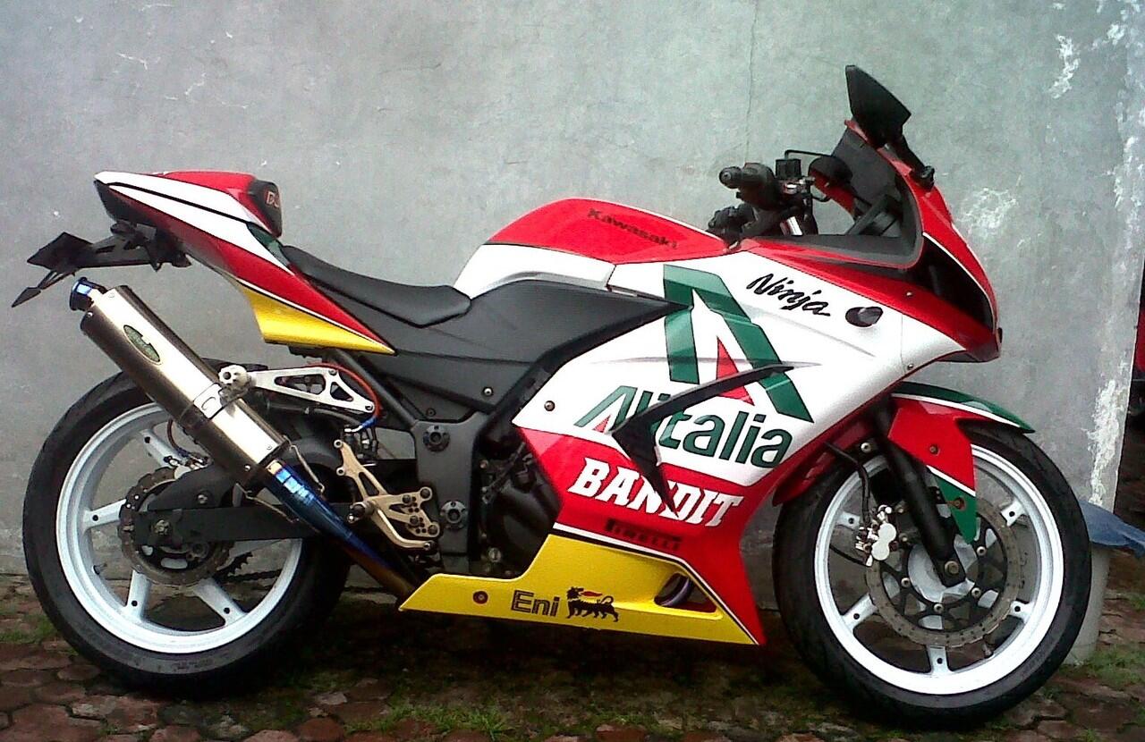 WTS Ninja 250 2009