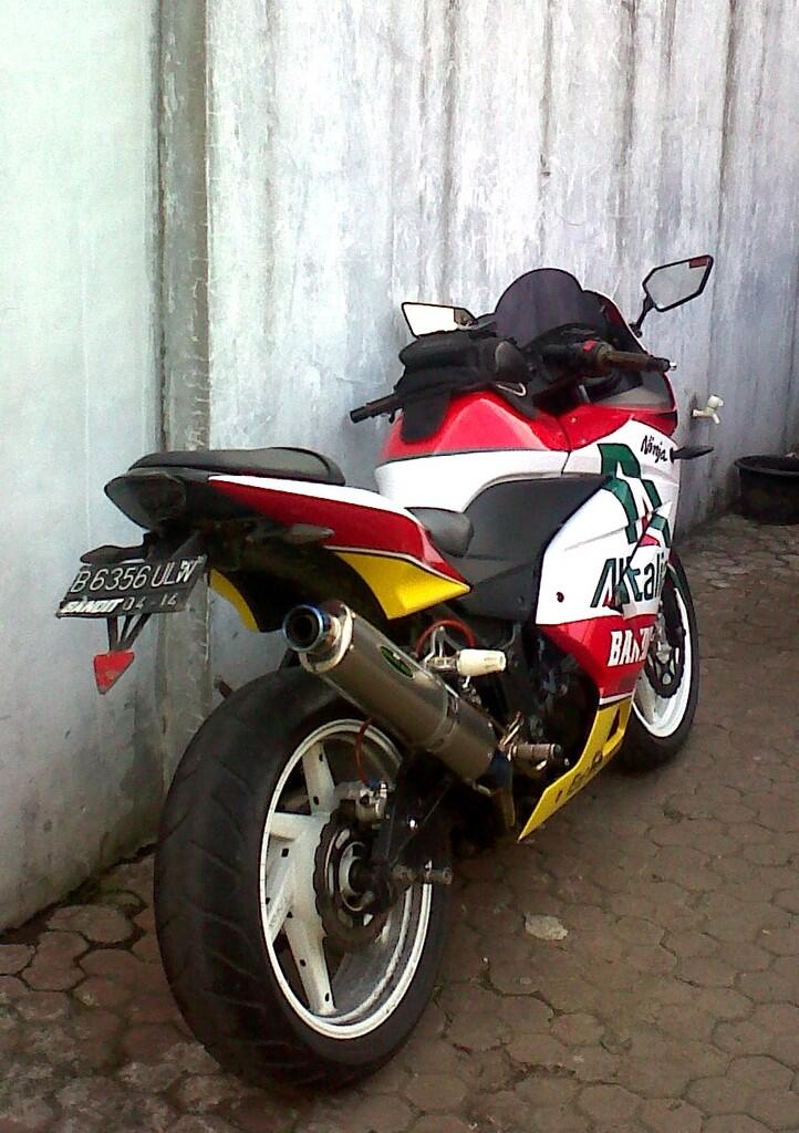 WTS Ninja 250 2009