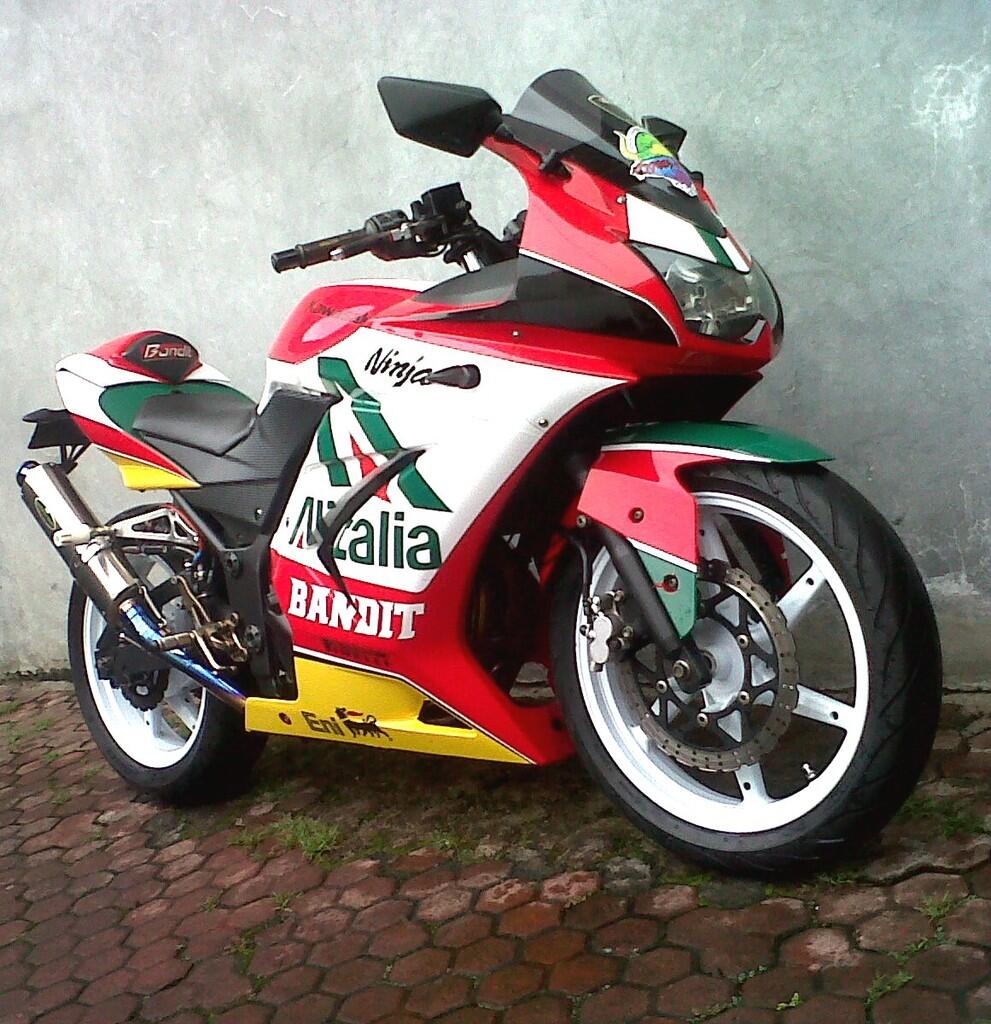 WTS Ninja 250 2009