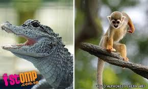 Mau Ke Singapura? Jangan Lupa Mampir ke Tempat ini
