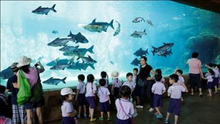 Mau Ke Singapura? Jangan Lupa Mampir ke Tempat ini