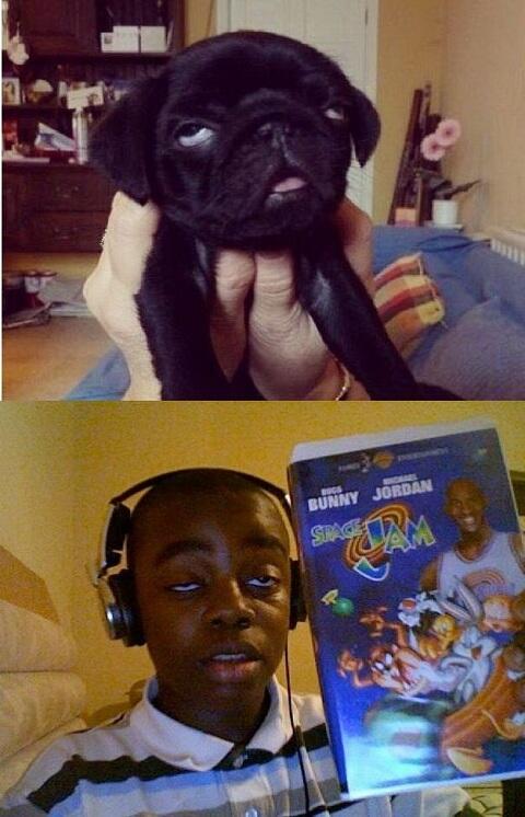 Foto lucu-lucu pasti tersenyum