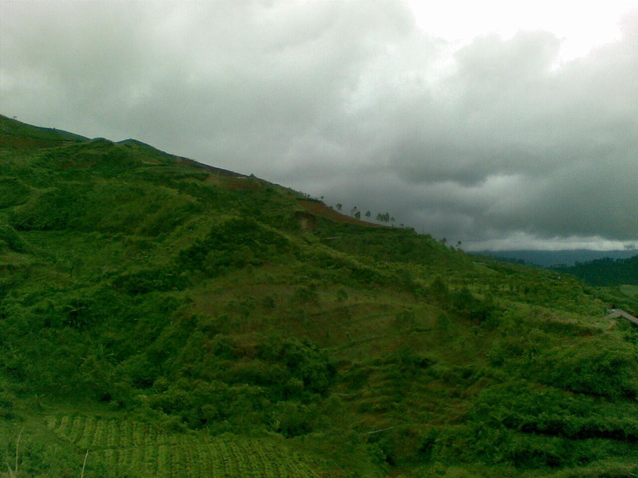 Pemandangan Kebun di Kp. Genteng Kecamatan Cikajang Kab. Garut