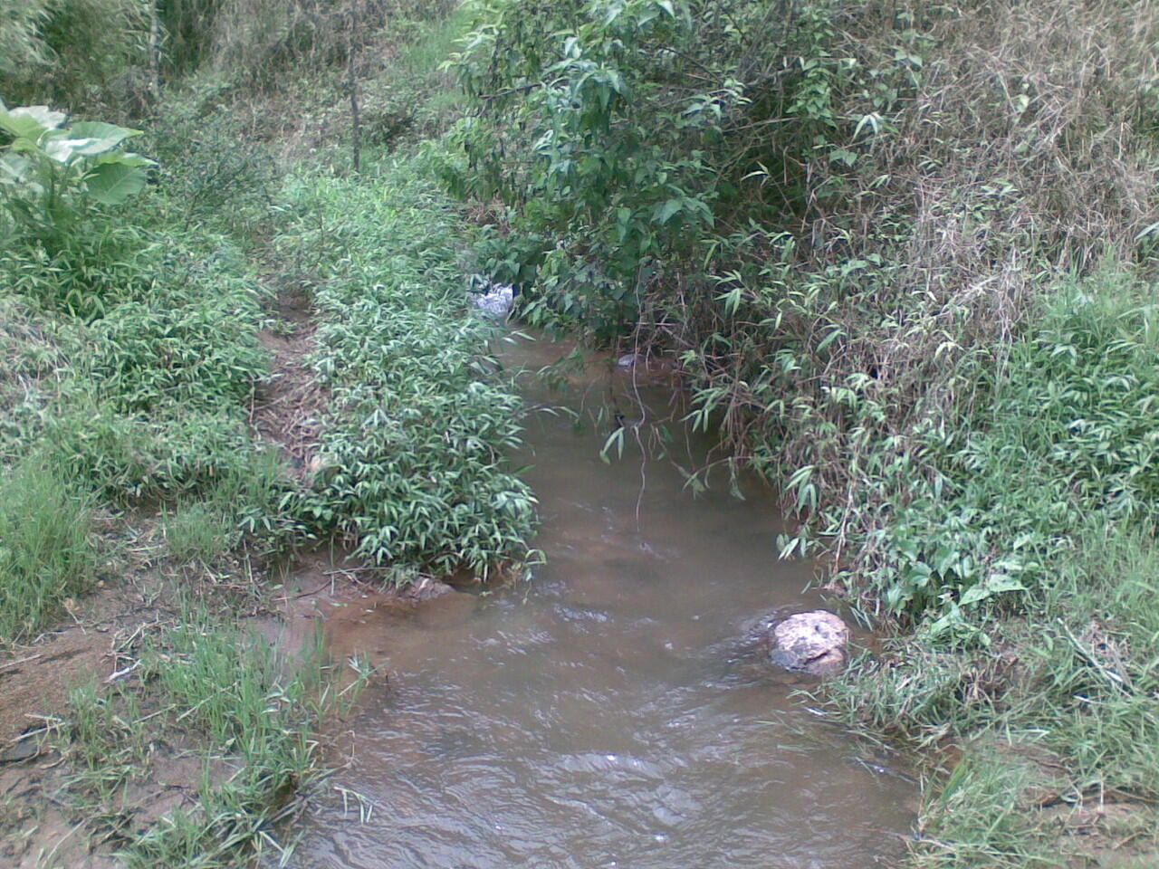 Pemandangan Kebun di Kp. Genteng Kecamatan Cikajang Kab. Garut
