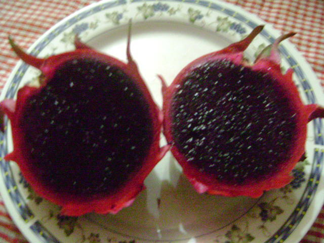 buah naga hitam gan 