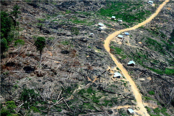 Kerusakan Hutan Di Bumi Indonesia Tercinta (Miris Gan)