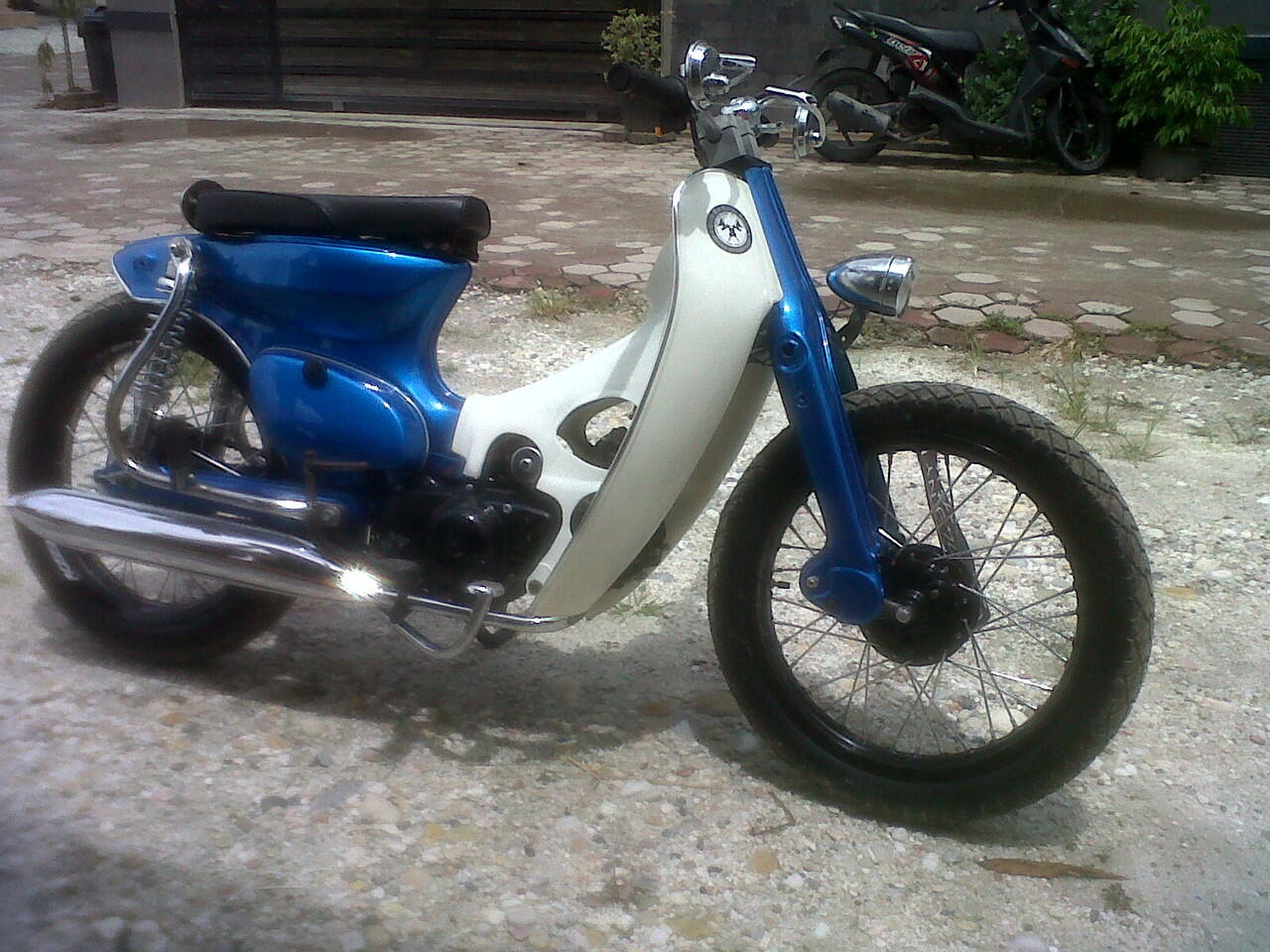 Astrea 800 (Street cub style)