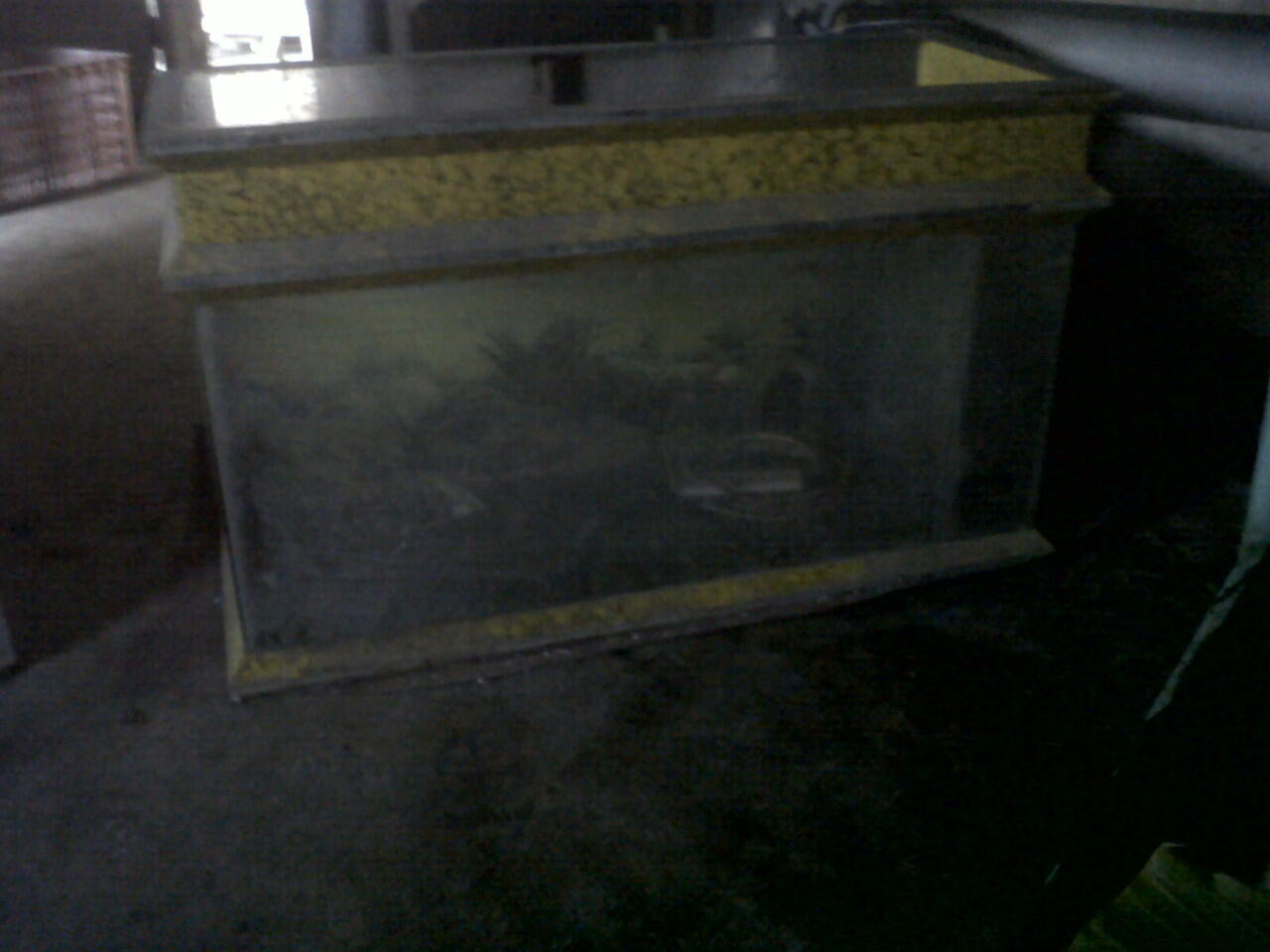 jual akuarium murah (malang)