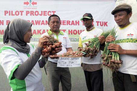 Indonesia Berkebun Kenalkan Bawang Tuktuk