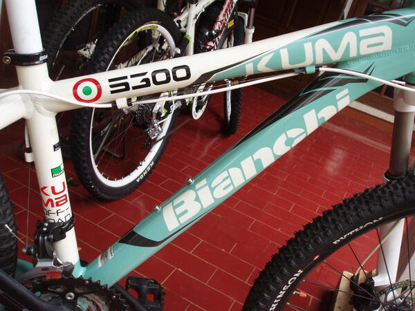 bianchi kuma 5300 price