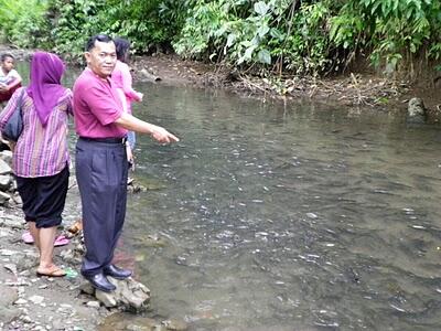 IKAN JURUNG di Sumatera Utara yang tetap misteri sampai sekarang.