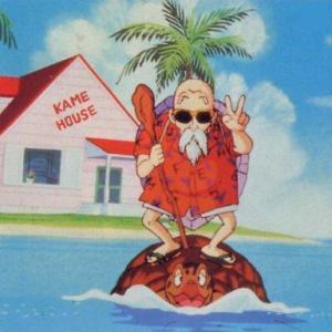 HUBUNGAN KAMEHAMEHA, KAME HOUSE dan HAWAII