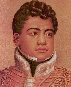HUBUNGAN KAMEHAMEHA, KAME HOUSE dan HAWAII