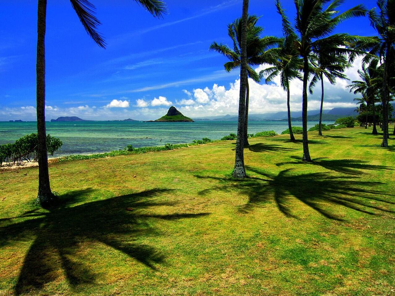HUBUNGAN KAMEHAMEHA, KAME HOUSE dan HAWAII