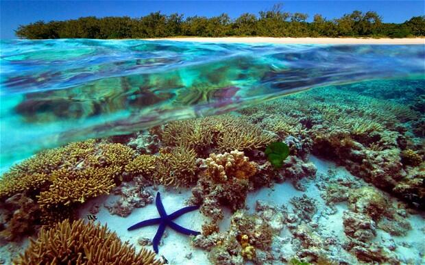10 Tempat Sempurna untuk Melamar Pasangan