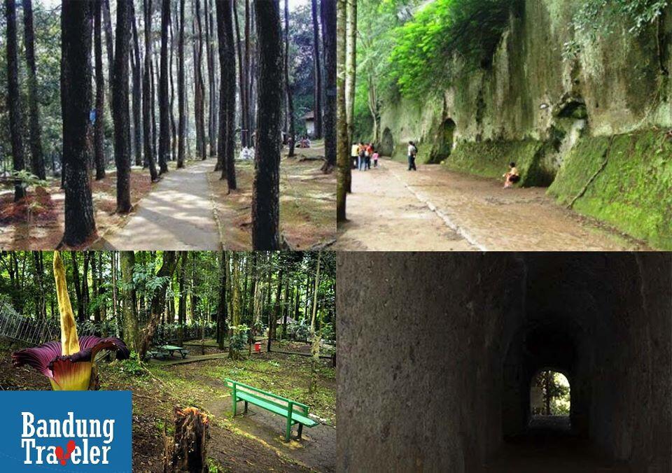 Berikut ini adalah daftar tempat wisata di Bandung Utara: