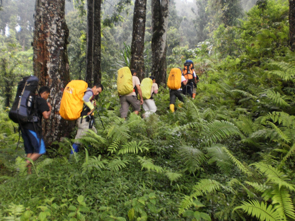 &#91;Catper&#93; Rombongan Indramayu mbalang ke Slamet via Batur raden 19-21 Oktober 2012