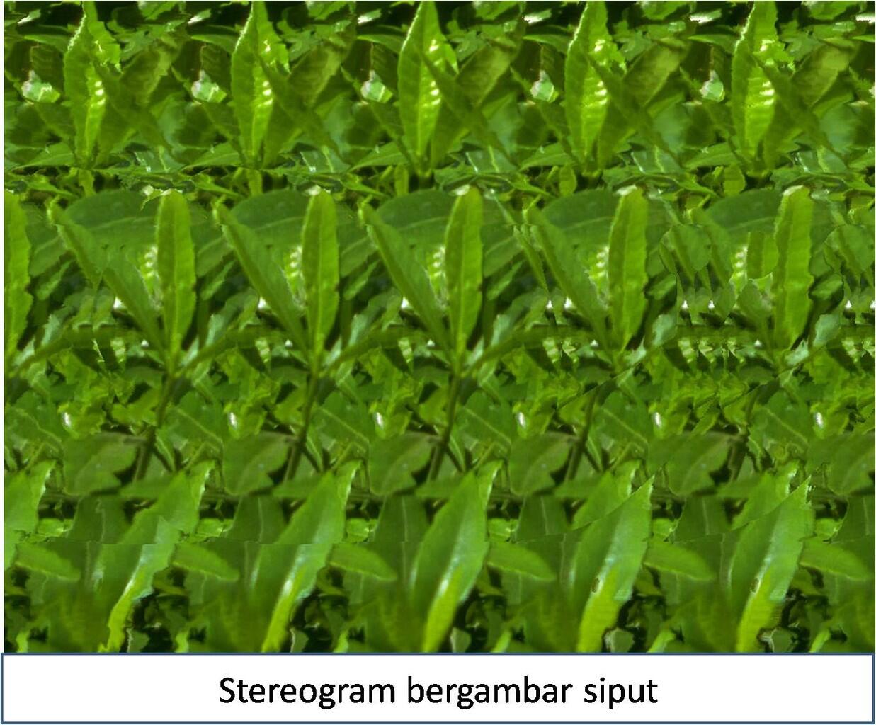 MENGENAL Dan MEMBUAT STEREOGRAM ANDA SENDIRI KASKUS