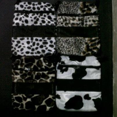 Sugar glider malang