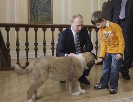 PIC:Putin Bersama Anjing Peliharaannya