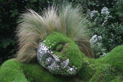 Foto: Tumbuhan Yang Terlihat Menggoda