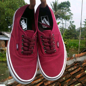 vans original waffle gsi