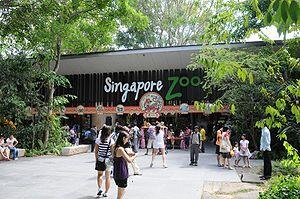 SINGAPORE ZOO salah satu tempat wisata di SINGAPORE.. MASUKKK GANN...