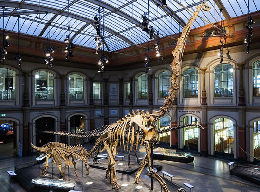 5 Museum Dinosaurus Paling Keren di Dunia 