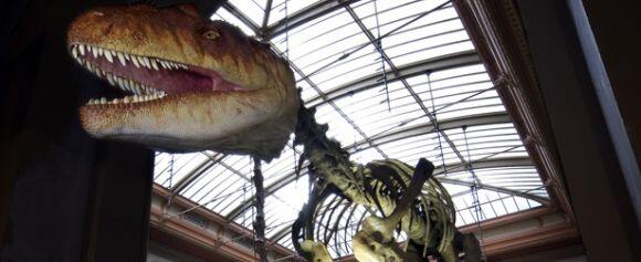 5 Museum Dinosaurus Paling Keren di Dunia 