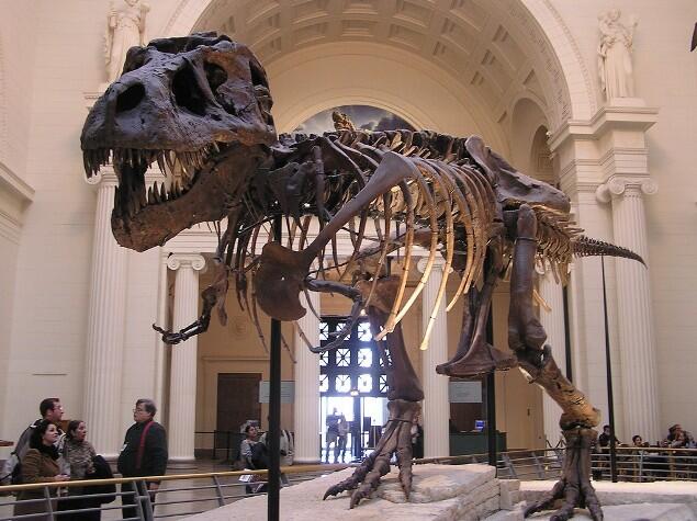 5 Museum Dinosaurus Paling Keren di Dunia 