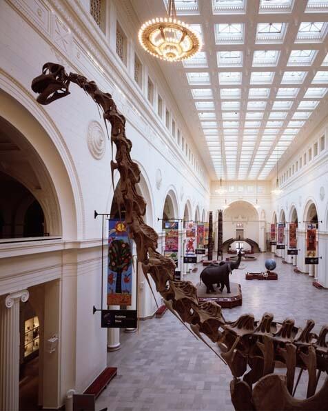 5 Museum Dinosaurus Paling Keren di Dunia 