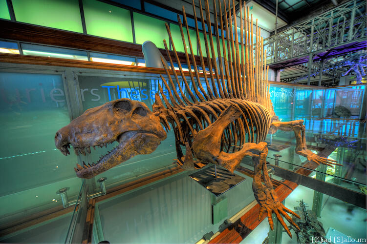 5 Museum Dinosaurus Paling Keren di Dunia 