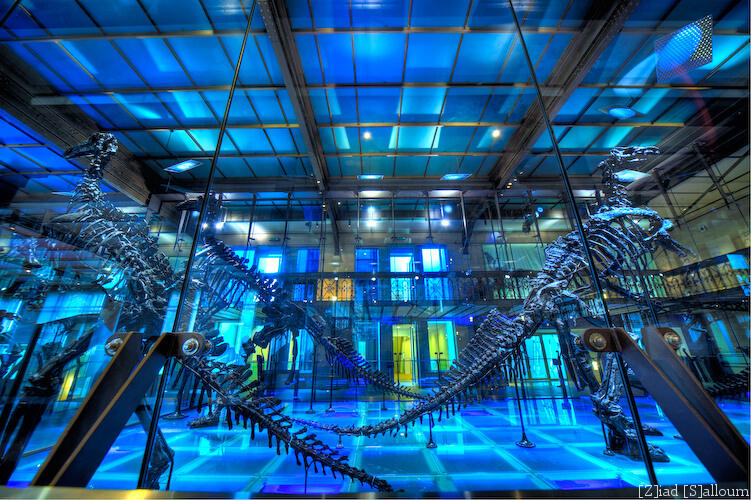 5 Museum Dinosaurus Paling Keren di Dunia 