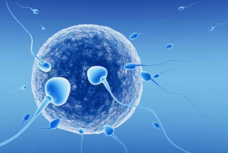 Donor Sperma Meningkat, 6.000 Bocah Inggris Tak Tahu Siapa Ayahnya