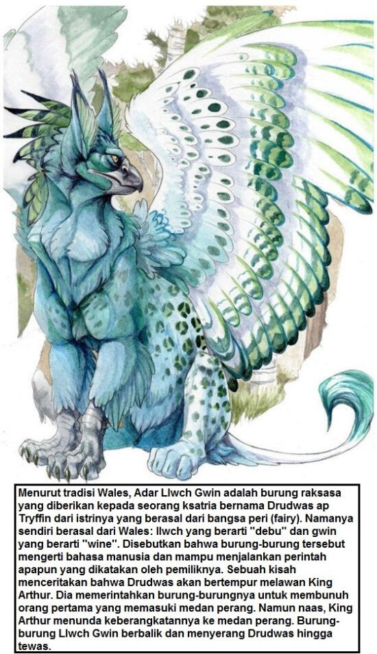Galeri 69 gambar burung mitos dan legenda