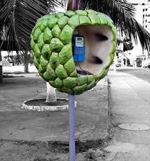 6 TELEPON LUCU